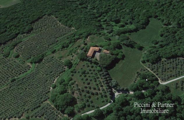 casa indipendente in vendita a Cetona