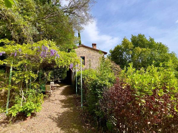 appartamento in vendita a Cetona