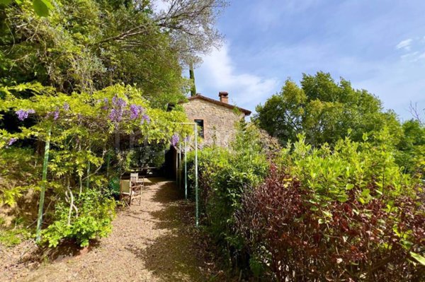 casa indipendente in vendita a Cetona