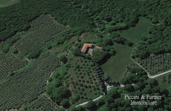 casa indipendente in vendita a Cetona