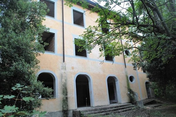 negozio in vendita a Cetona