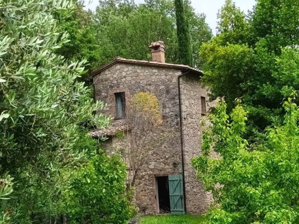 casa indipendente in vendita a Cetona