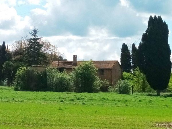 casale in vendita a Cetona