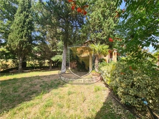 casa indipendente in vendita a Cetona