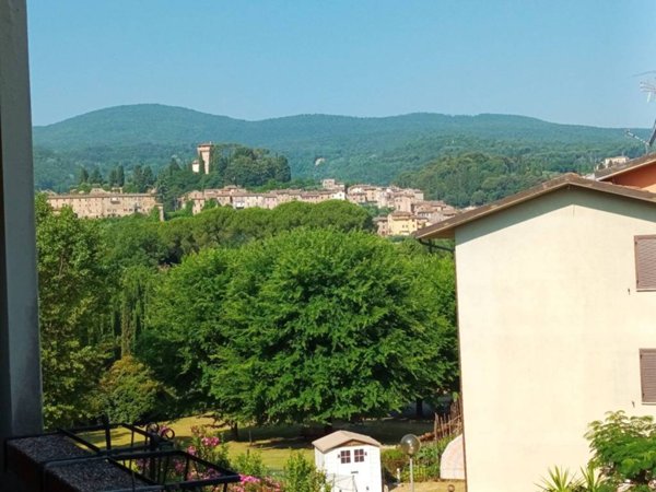 appartamento in vendita a Cetona