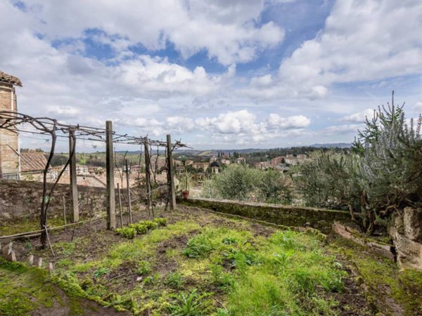 appartamento in vendita a Cetona