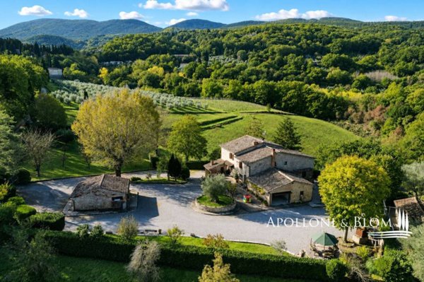 casa indipendente in vendita a Cetona