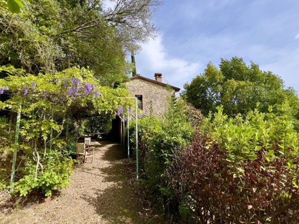 casa indipendente in vendita a Cetona