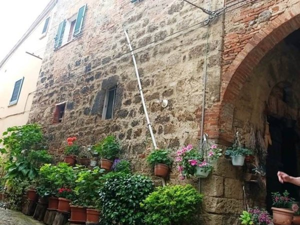 casa semindipendente in vendita a Cetona