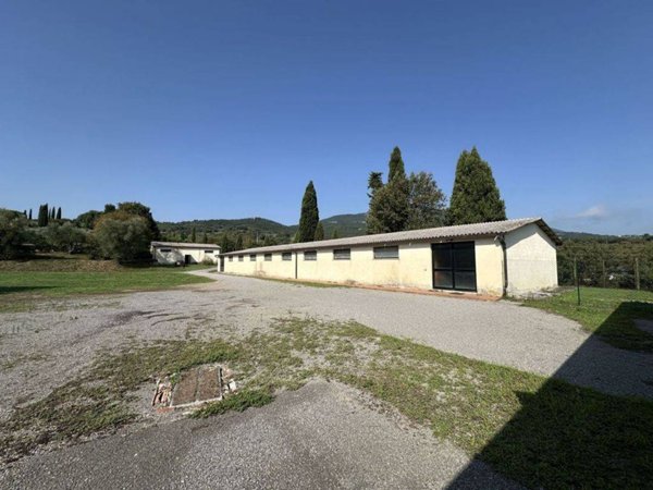 casa indipendente in vendita a Cetona