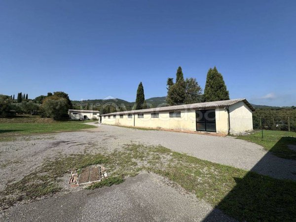 casa indipendente in vendita a Cetona