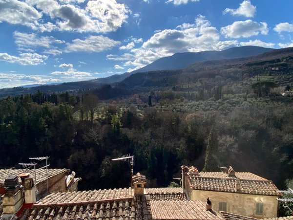 appartamento in vendita a Cetona