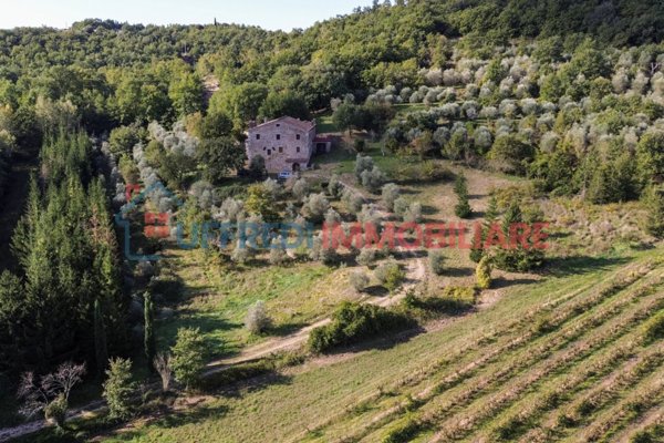 casa indipendente in vendita a Cetona