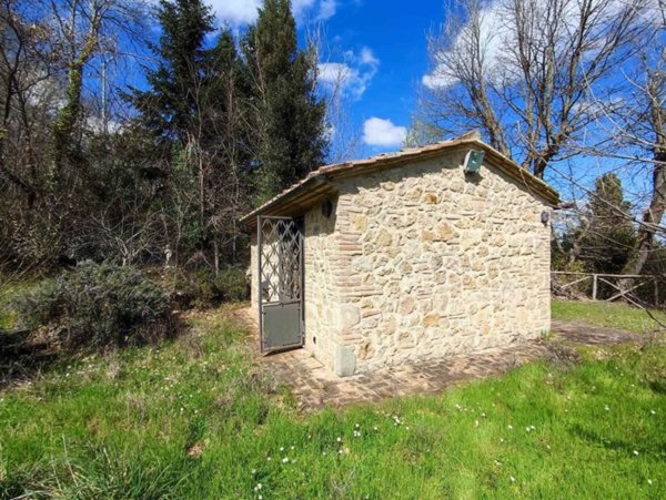 casa indipendente in vendita a Cetona