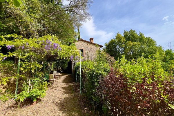 casa indipendente in vendita a Cetona