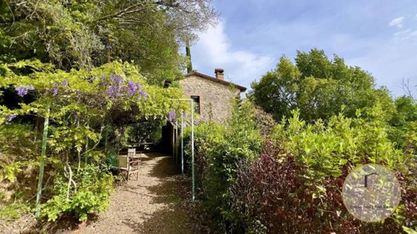casa indipendente in vendita a Cetona