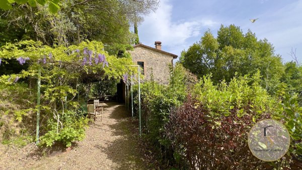 casa indipendente in vendita a Cetona in zona Piazze