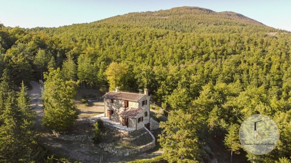 casa indipendente in vendita a Cetona