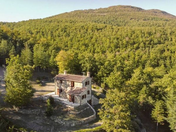 casa indipendente in vendita a Cetona