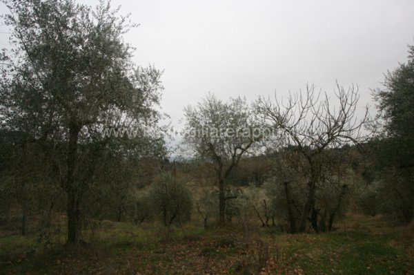 casale in vendita a Cetona