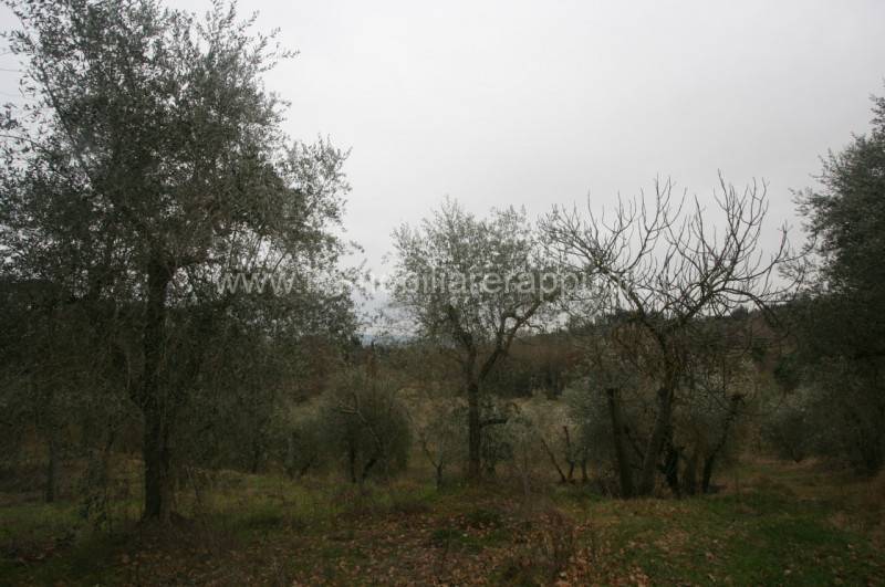 casale in vendita a Cetona