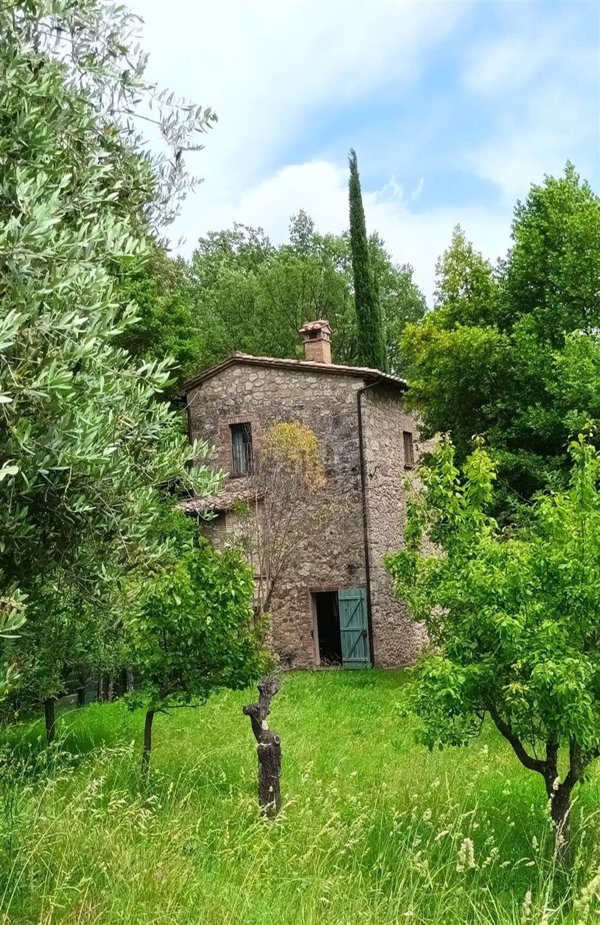 casale in vendita a Cetona