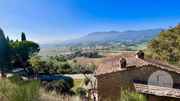 appartamento in vendita a Cetona