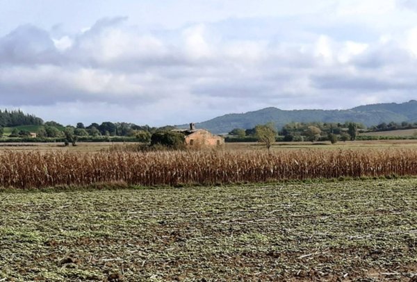 casa indipendente in vendita a Cetona