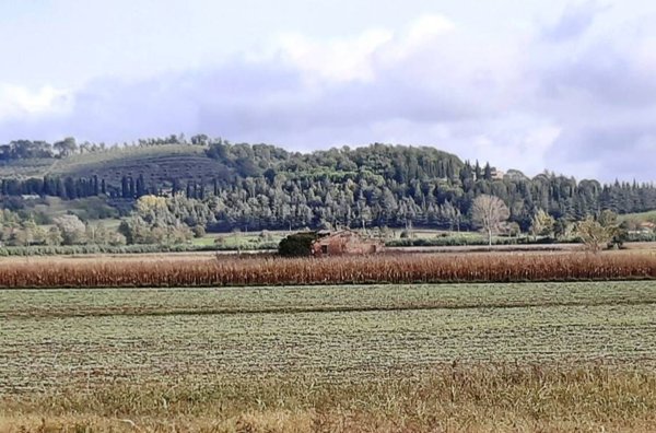 casale in vendita a Cetona