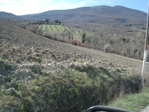 terreno agricolo in vendita a Cetona in zona Piazze