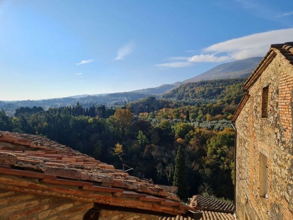 appartamento in vendita a Cetona