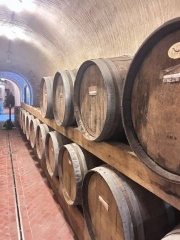 negozio in vendita a Cetona