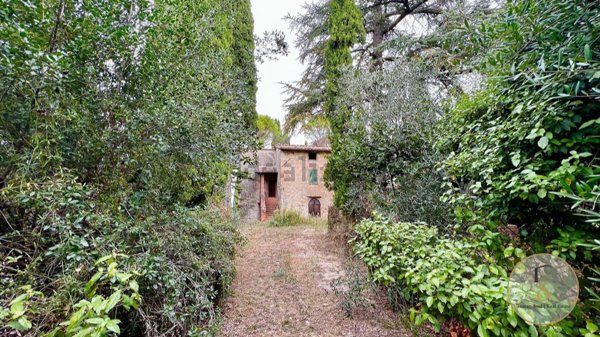 casale in vendita a Cetona