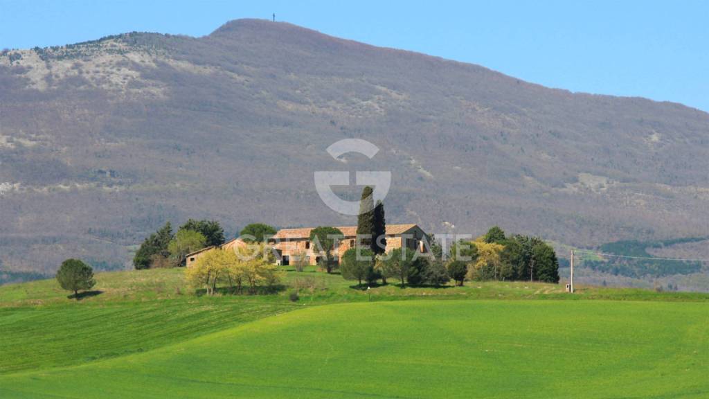 casa indipendente in vendita a Cetona in zona Piazze