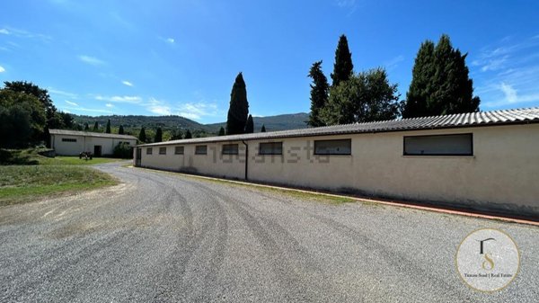 casa indipendente in vendita a Cetona in zona Piazze