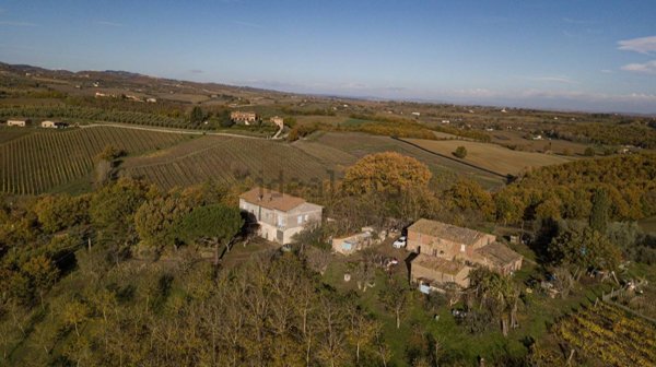 esavano in vendita a Chianciano Terme