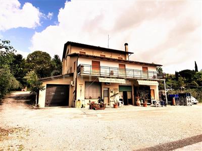 azienda agricola in vendita a Chianciano Terme