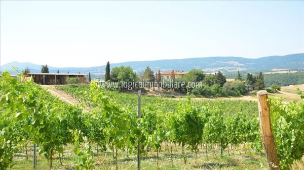 azienda agricola in vendita a Chianciano Terme