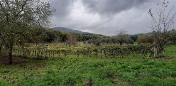 quadrivano in vendita a Chianciano Terme
