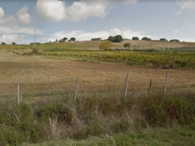 azienda agricola in vendita a Chianciano Terme