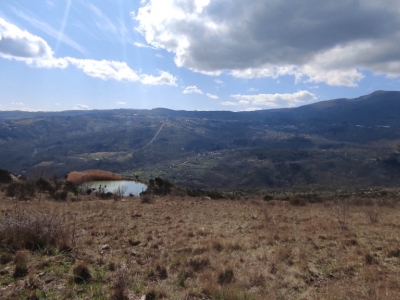 azienda agricola in vendita a Chianciano Terme