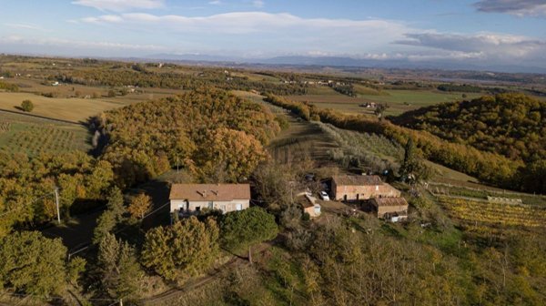 esavano in vendita a Chianciano Terme