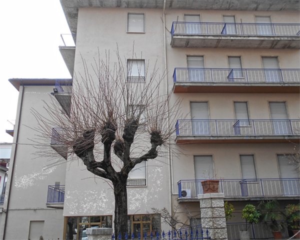 appartamento in vendita a Chianciano Terme