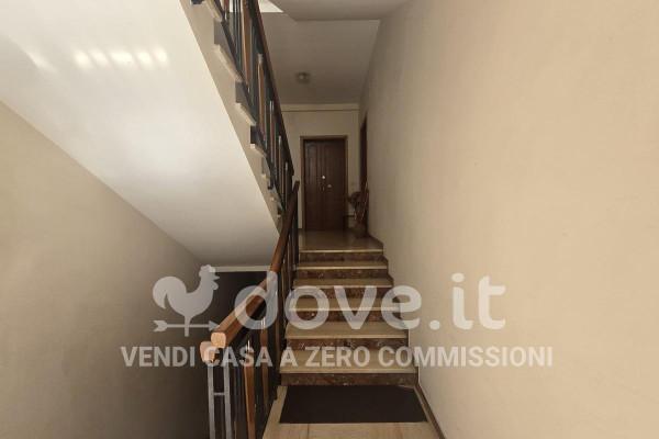 immagine annuncio 0 di 12