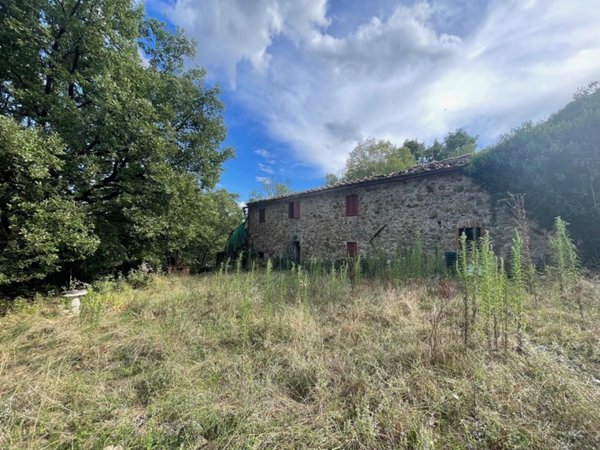 negozio in vendita a Chiusdino in zona Montalcinello