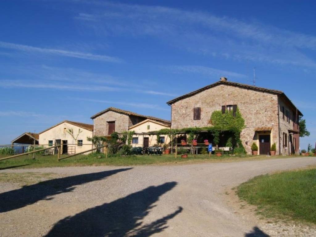 negozio in vendita a Chiusdino