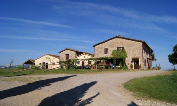 azienda agricola in vendita a Chiusdino