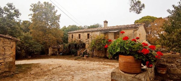 azienda agricola in vendita a Chiusdino