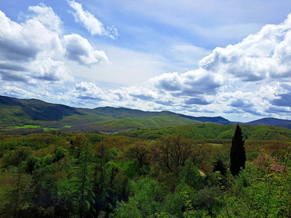 casa indipendente in vendita a Chiusdino in zona Ciciano