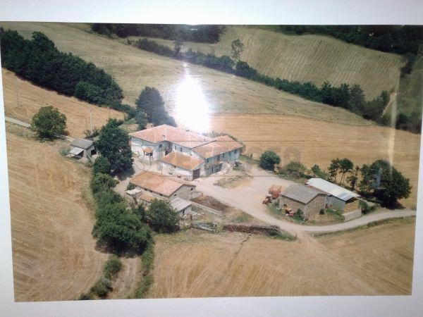 azienda agricola in vendita a Chiusdino